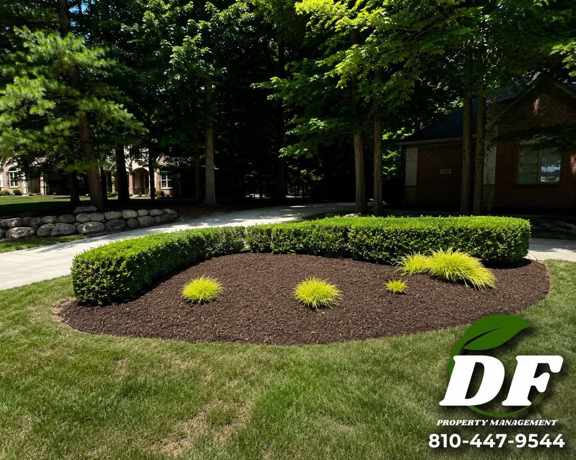 Renovated landscape bed with dark mulch, trimmed boxwood hedge, and ornamental grasses along a driveway