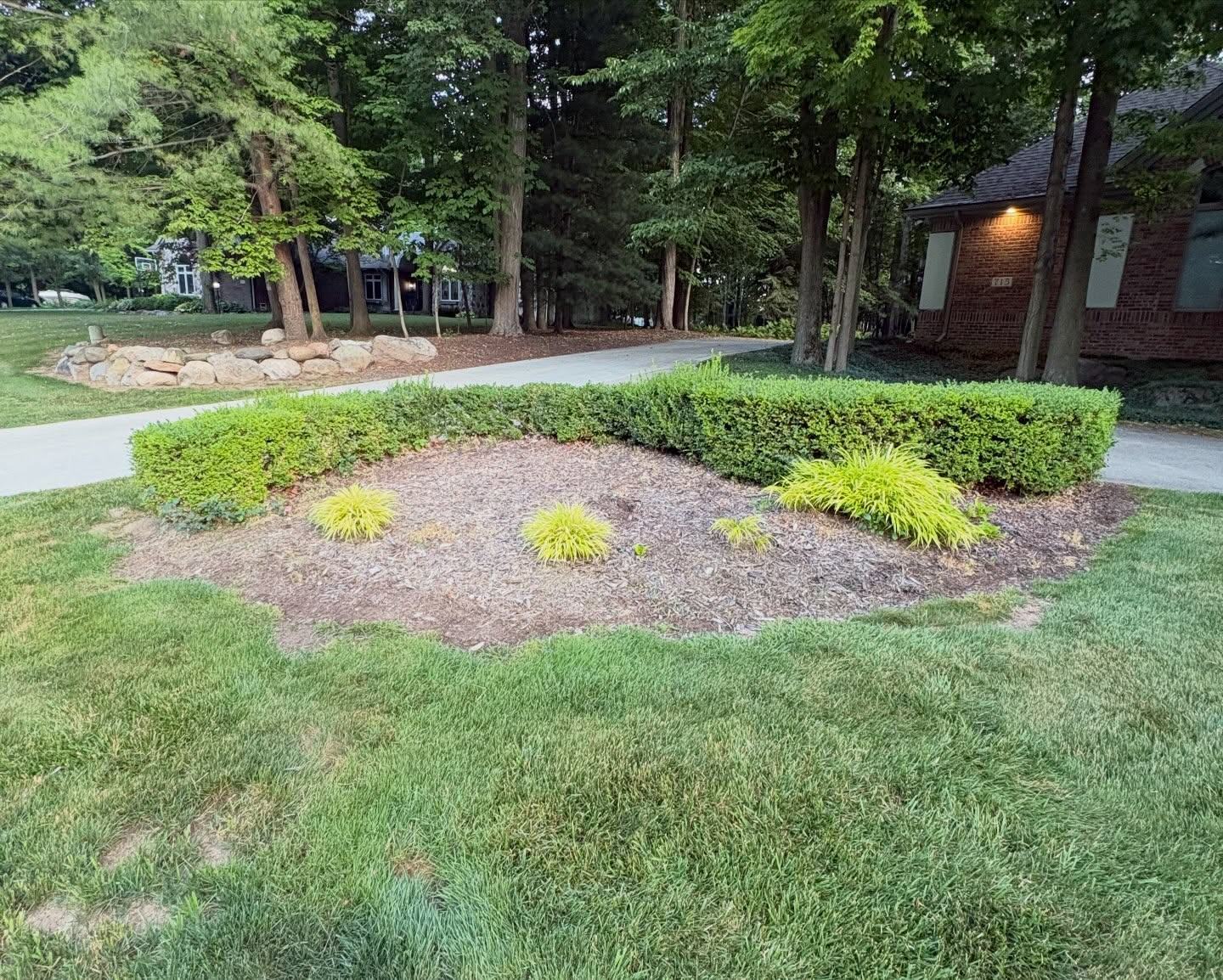 Evening shot of a freshly edged landscape bed with clean hedge line beside a driveway